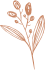 Rose Icon 01